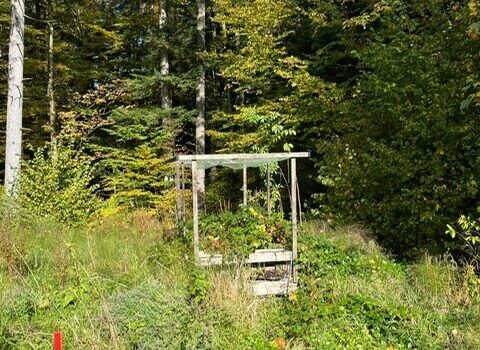 7lBWBO0wznSegUaRa21BMC