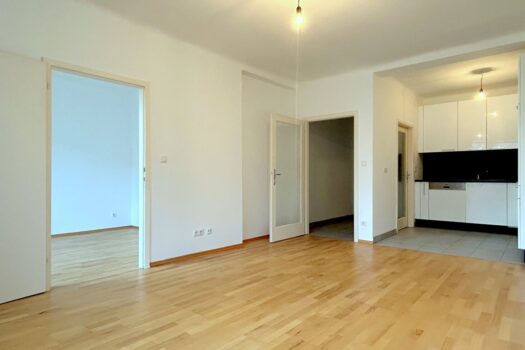 Wohnzimmer mit Küche