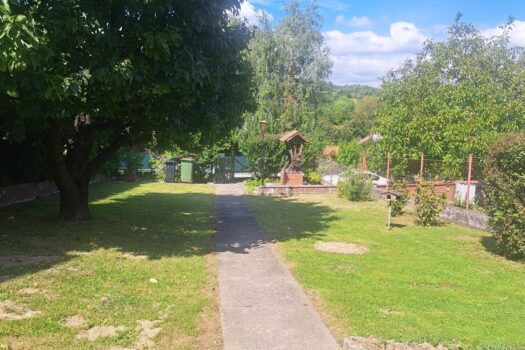 Garten mit Herzkirschbaum