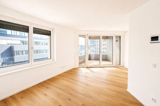 Bq7uyS5y8IlZvyek6ydDj