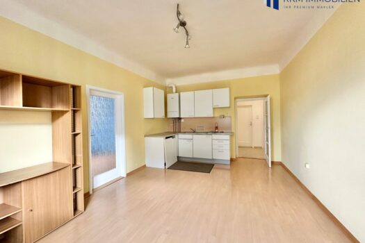 Wohnbereich_m_Kueche_3