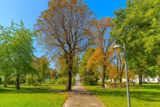 ClHAzKcwKsyueV9fc6TXd