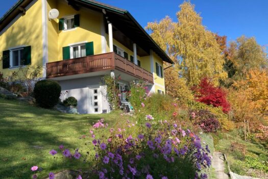 DXM27O4D21DpKdcks8A87