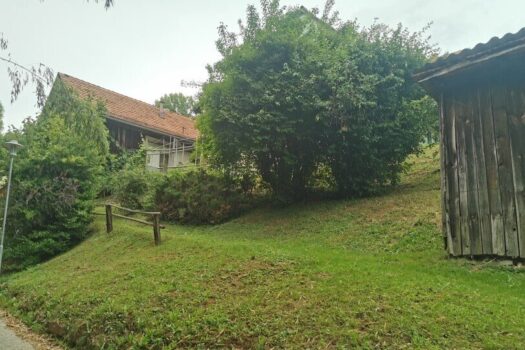 DhocxPCzDbIwKbDxVbrfM 1