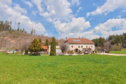 EyakPaiCSFCO3WSvYXlZt