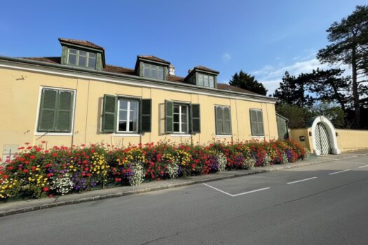 I1dHrDVTEr5ktVOpjBkFM