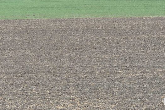 Ji5aXihVjTs9tdQmMDeCz