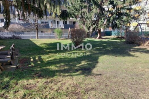 K5kcN7Arw2Y55IV0WtrRq