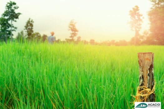 PGwFnF40kbmHFWIEUHBv1