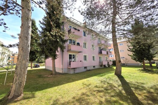 WaE5uwzS8fuxva5N5HW6B