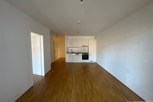 aOjIIRrpUheQ3Y72AuhFp