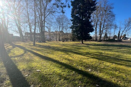 bsBuAmjJiVM1wed2b0XZ9