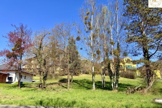 Frühlingstraum vom Eigenheim: Sonniger Bauplatz mit vielseitigem Potenzial g4FsghPgA55LsbYqiQXzF