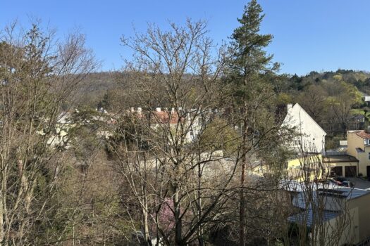 jl0vS85ahHsjRQ18pjv5b