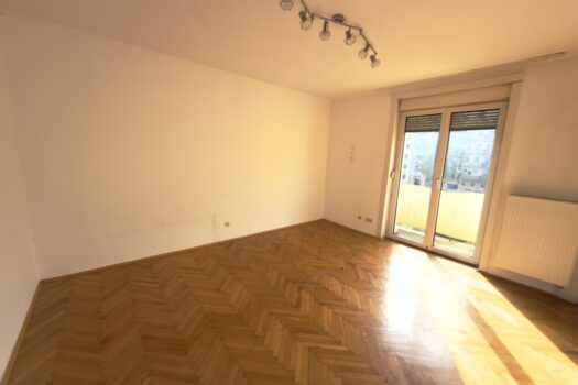 lZdUd8ZPAZ6o5OFchIS8B