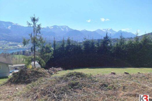 lmd5DYdP2uTwmeeR9PCS9