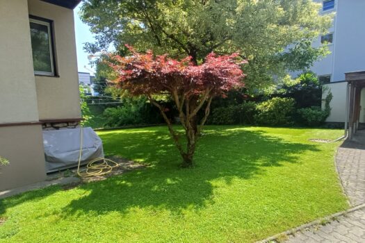 oJXGLUm2WwG4RwV5rzBWE