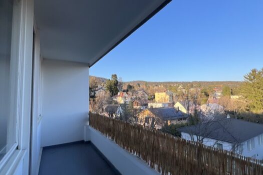 s5Pkm5z1ZATgOXy4ydTJh