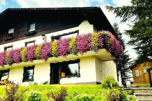 sy9M2WmQOCzNR4yqhEevB