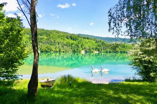 Bild vom See
