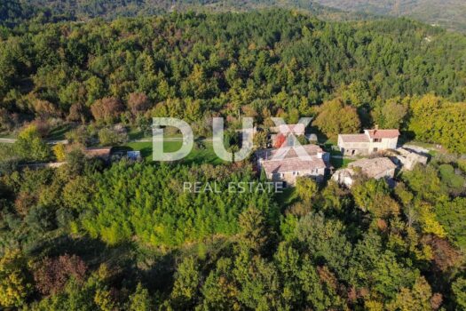 1733749780 dji 0983