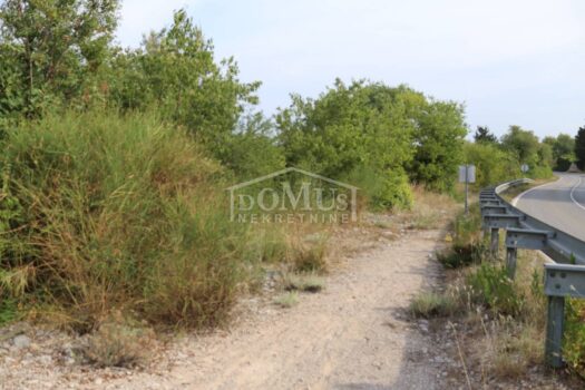 1756987218 img 3000
