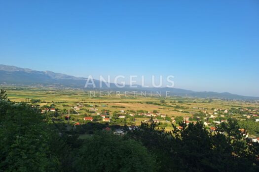 1770390358 photo 2025 11 26 18 01 03