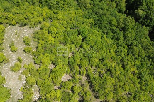 1777884997 dji 0611
