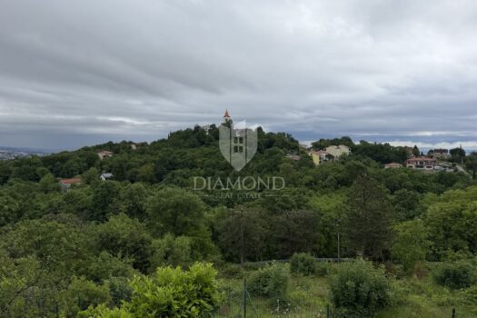 1778769240 image1