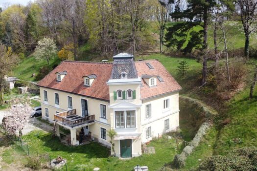 Villa Rosenberg kaufen (1)