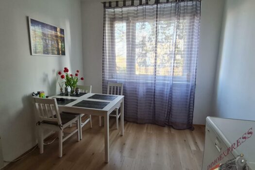 Bild1