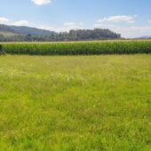 next