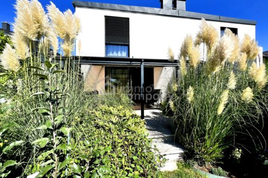 Garten mit Blick aufs Haus