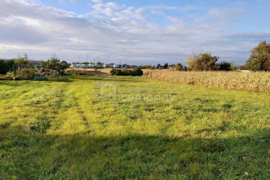 Grundstück Parndorf_ Blick nach Nordwesten