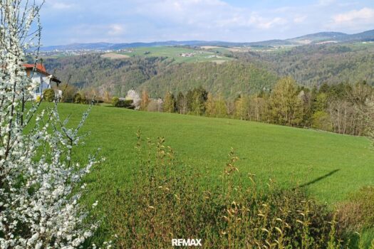 Grundstück (1)