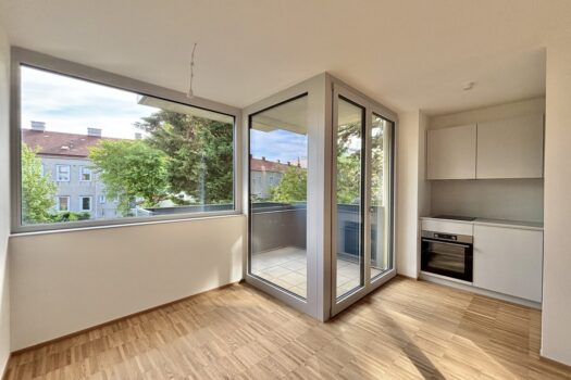 Küche/Balkon