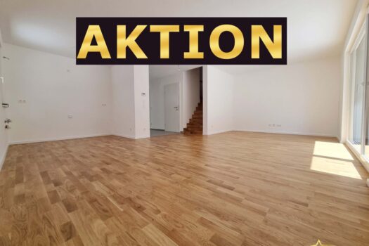 AKTION LETZTES DOPPELHAUS