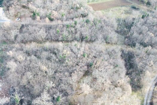 1767189444 dji 0525