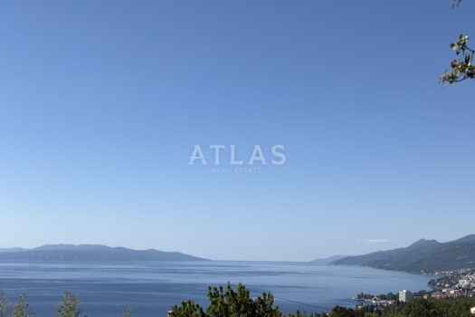 1779472374 image00001