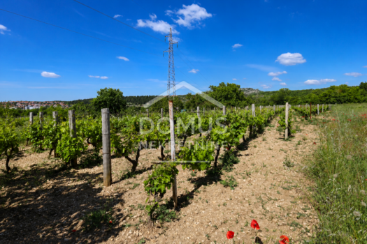 1780322351 chatgpt image 1 juin 2026 15 37 48