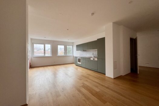 Wohnzimmer mit integrierter Küche