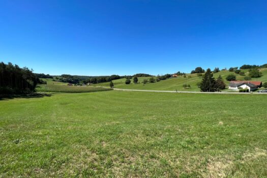 Landschaft