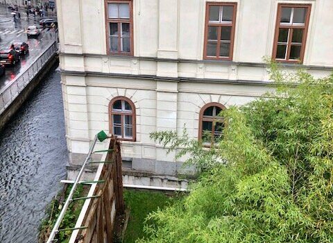 Ausblick