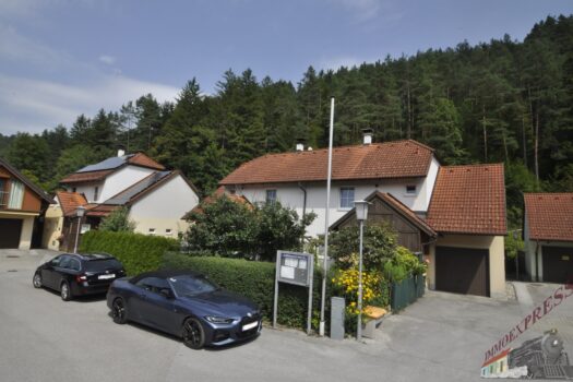 Bild1