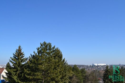 Ausblick