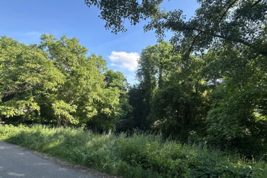 Blick in den Park- gegenüber,