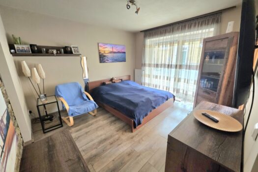 Wohn- und Schlafzimmer