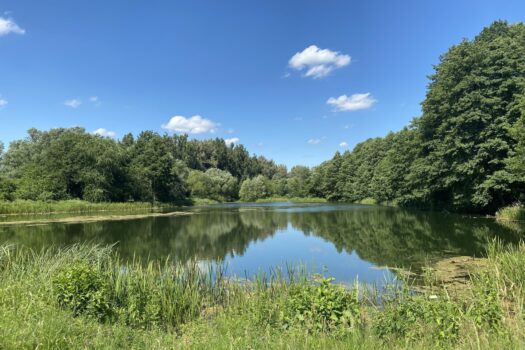 Erstbezug am Mühlwasser – großzügige 3-Zimmer-Dachgeschosswohnung mit ca. 27 m² Terrassenfläche Erholungsgebiet Mühlwasser