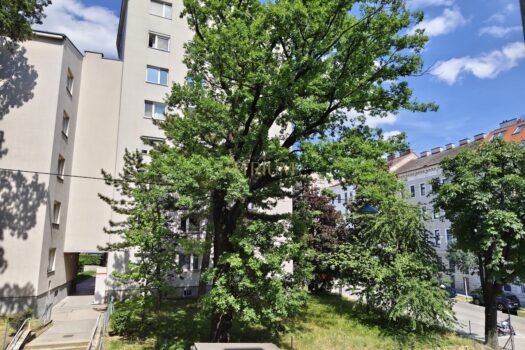 Wohnzimmer Aussicht