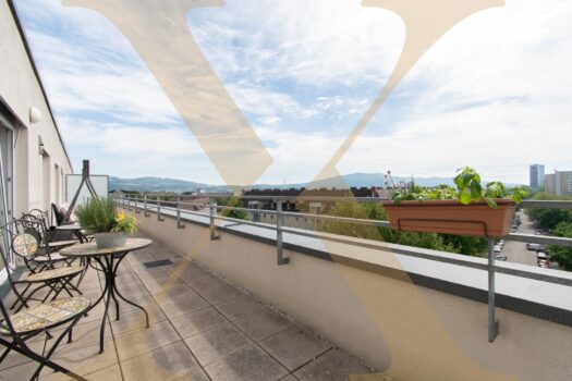 Terrasse III